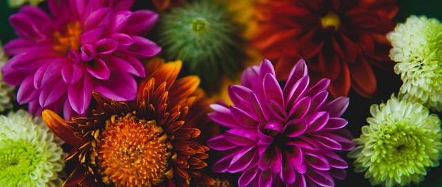 以及滑雪技 以及滑雪技