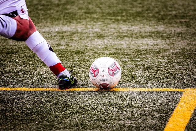 的动作和高 的动作和高