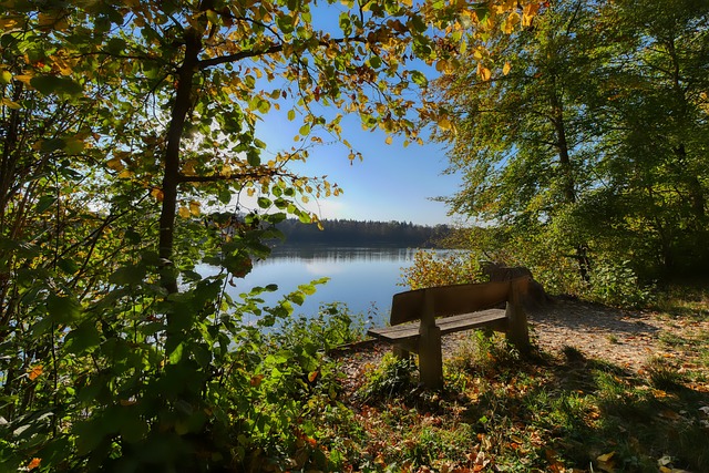 从进攻锐度 从进攻锐度