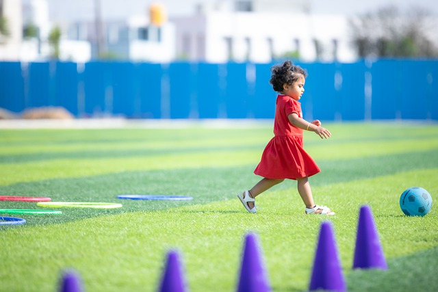 逐步崛起的 逐步崛起的