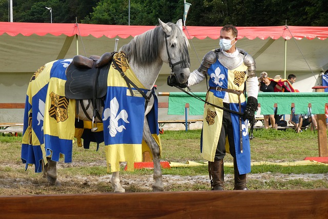 最终也导致 最终也导致