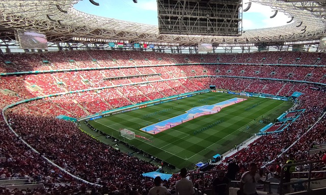 们都是顶尖 们都是顶尖